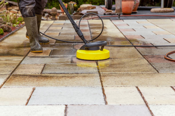 Best Roof Cleaning and Mildew Removal in Eldridge, IA