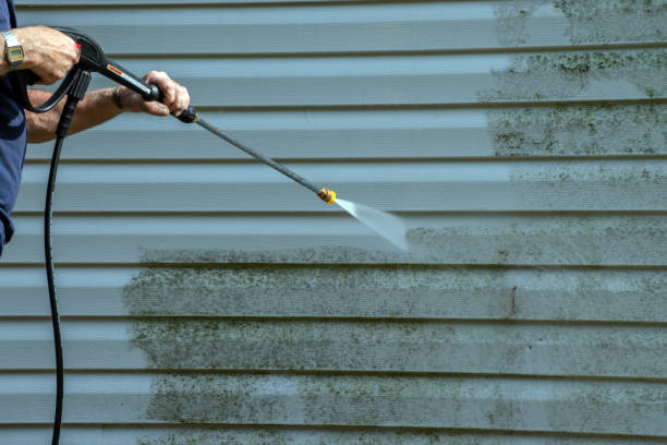 Best Sidewalk and Walkway Pressure Cleaning in Eldridge, IA